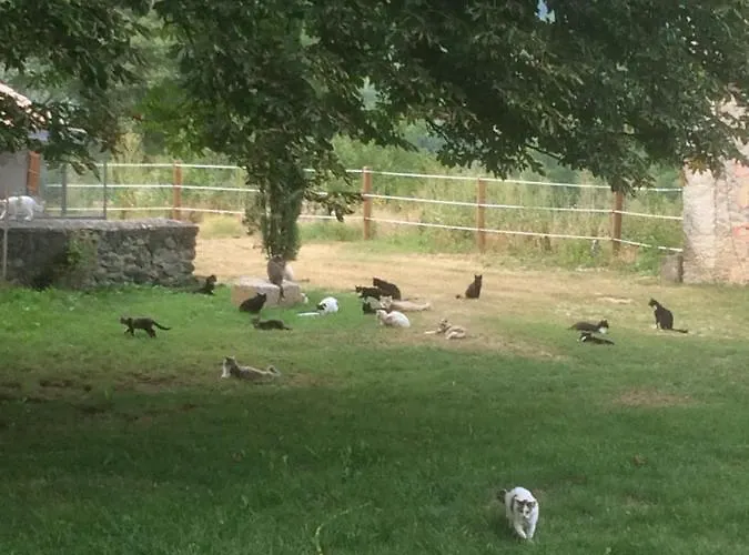 Chateau De La Cazette 3*