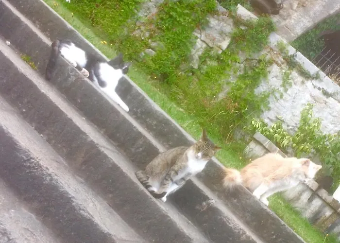 Bed & Breakfast Chateau De La Cazette 3*