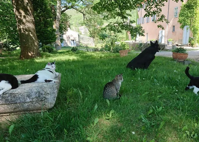 Chateau De La Cazette Couette-café 3*